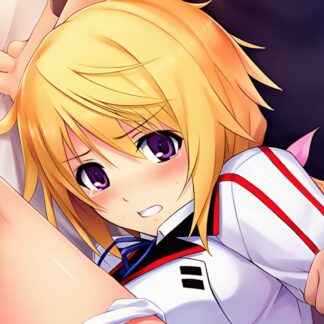可愛がられちゃうシャルロット・デュノア