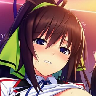 可愛がられちゃう篠ノ之箒